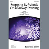 Stopping By Woods On A Snowy Evening