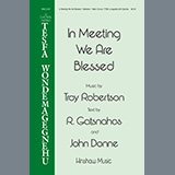 Carátula para "In Meeting We Are Blessed" por Troy Robertson