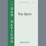 Abdeckung für "The Storm" von Dan Davison