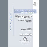 Judith Herrington What is Water? l'art de couverture