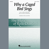 Rollo Dilworth Why a Caged Bird Sings cover art