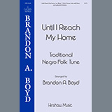 Carátula para "Until I Reach My Home" por Brandon Boyd