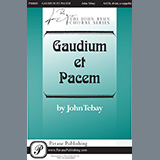 Cover Art for "Gaudium Et Pacem" by John Tebay
