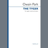 Cover Art for "The Tyger" by Owain Park