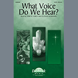 Carátula para "What Voice Do We Hear?" por Terry W. York and David Schwoebel