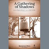 Abdeckung für "A Gathering of Shadows - Flute" von Pamela Stewart & John Purifoy