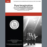 Couverture pour "Pure Imagination (arr. Dave Briner)" par Metropolis
