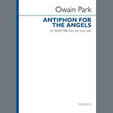 Cover Art for "Antiphon For The Angels (Violin Part)" by Owain Park
