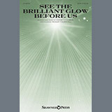 Cover Art for "See The Brilliant Glow Before Us" by Diane Hannibal