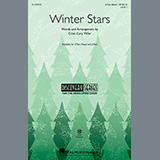 Cover Art for "Winter Stars" by Cristi Cary Miller
