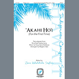 Cover Art for "Akahi Ho'i (For The First Time)" by Megann Sala