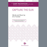 Carátula para "Capture The Sun" por Eric Tsavdar