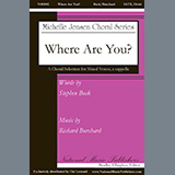 Cover Art for "Where Are You?" by Richard Burchard