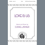 Cover Art for "Love Is Us" by Craig Zamer