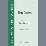 Couverture pour "The Storm" par Dan Davison