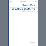 Carátula para "A Gaelic Blessing" por Owain Park