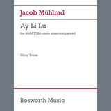 Cover Art for "Ay Li Lu" by Jacob Mühlrad