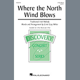 Abdeckung für "Where The North Wind Blows (arr. Cristi Cary Miller)" von Traditional Irish Melody
