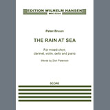 Carátula para "The Rain at Sea (Parts)" por Peter Bruun