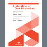 Cover Art for "In The Midst Of New Dimensions" by Tom Trenney