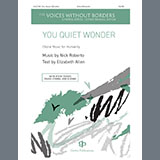 Abdeckung für "You Quiet Wonder" von Nick Roberto