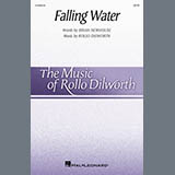 Abdeckung für "Falling Water" von Rollo Dilworth
