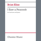 Cover Art for "I Saw a Peacock" by Brian Elias