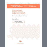 Cover Art for "Cirandas Brasileiras" by Matheus Cruz
