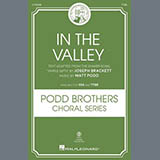 Cover Art for "In The Valley" by Matt Podd