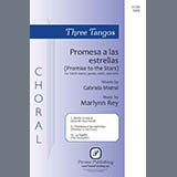 Cover Art for "Three Tangos - 2. Promesa a las estrellas" by Marlynn Rey