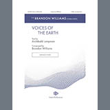 Cover Art for "Voices of the Earth" by Brandon Williams