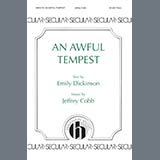 Carátula para "An Awful Tempest" por Jeffrey Cobb