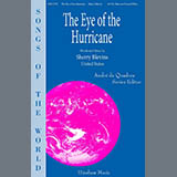 Cover Art for "The Eye of the Hurricane" by Sherry Blevins