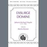 Cover Art for "Exsurge Domine - Violin 1" by Martin Banner