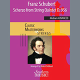 Carátula para "Scherzo from String Quintet, D. 956 (arr. Robert Debbaut) - Viola" por Franz Schubert