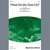 Couverture pour "What Do The Stars Do?" par Bruce W. Tippette