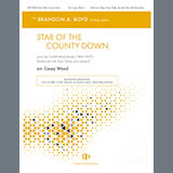 Carátula para "Star of the County Down - Violin" por Casey Wood