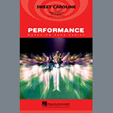Cover Art for "Sweet Caroline" by Tim Waters