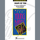 Cover Art for "Shape of You - Tuba" by Matt Conaway