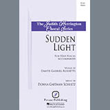 Abdeckung für "Sudden Light" von Donna Gartman Schultz