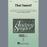 Audrey Snyder - That Sunset!