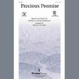 Cover Art for "Precious Promise" by Bradley Knight