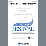 Mac Huff - Turkey In The Straw - Fiddle