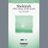 Cover Art for "Shekinah (The Glory Of The Lord)" by Stan Pethel
