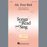 Cover Art for "Ah, Poor Bird" by Shelly Cooper