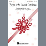 Carátula para "Twelve or so Days of Christmas" por Paula Foley Tillen