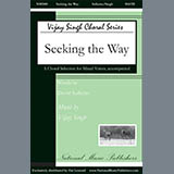 Carátula para "Seeking The Way" por Vijay Singh