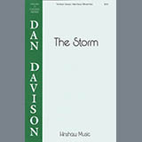 Cover Art for "The Storm" by Dan Davidson