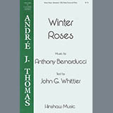 Cover Art for "Winter Roses" by Anthony Bernarducci