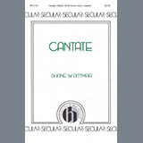 Cover Art for "Cantate" by Shane Dittmar